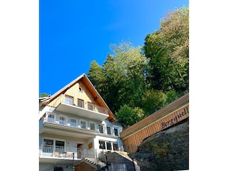 Ferienwohnung Willingen  10