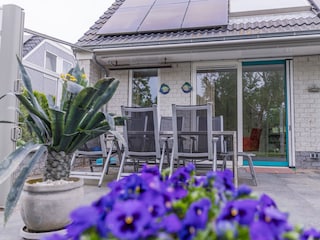 Ferienhaus Sint Maartenszee Außenaufnahme 3