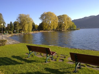 Ufer des Tegernsees