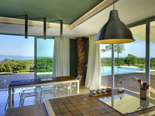 Villa Pavićini Caratteristiche 13