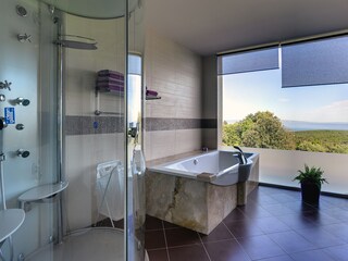 Villa Pavićini Caratteristiche 18