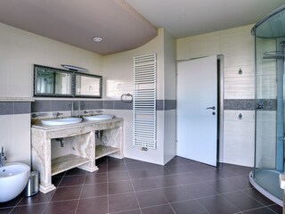 Villa Pavićini Caratteristiche 19