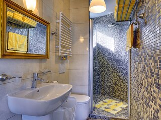 Villa Pavićini Caratteristiche 20