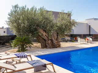 Villa Gajana Registrazione all'aperto 7