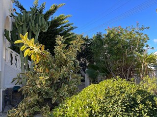 Vakantiehuis Rojales Buitenaudio-opname 9