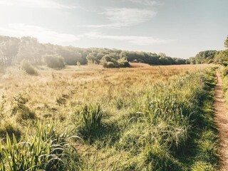 Parco vacanze Dishoek Ambiente 11