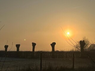 Holiday park Dishoek Environment 23