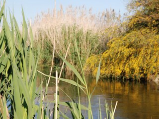 Vakantiehuis Specchiarica Omgeving 18