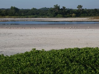 Maison de vacances Specchiarica Environnement 24