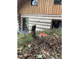 Ostseite mit Haustür, vom Wald aus