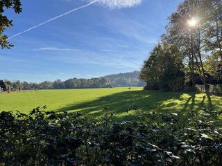 Wiesen am Weg zum Dorf