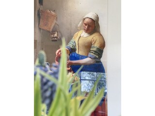 Villa Callantsoog Caratteristiche 21