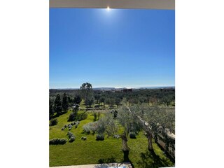 Casa per le vacanze Fažana Registrazione all'aperto 16