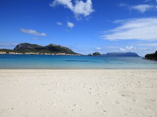 Appartamento Golfo Aranci Ambiente 19