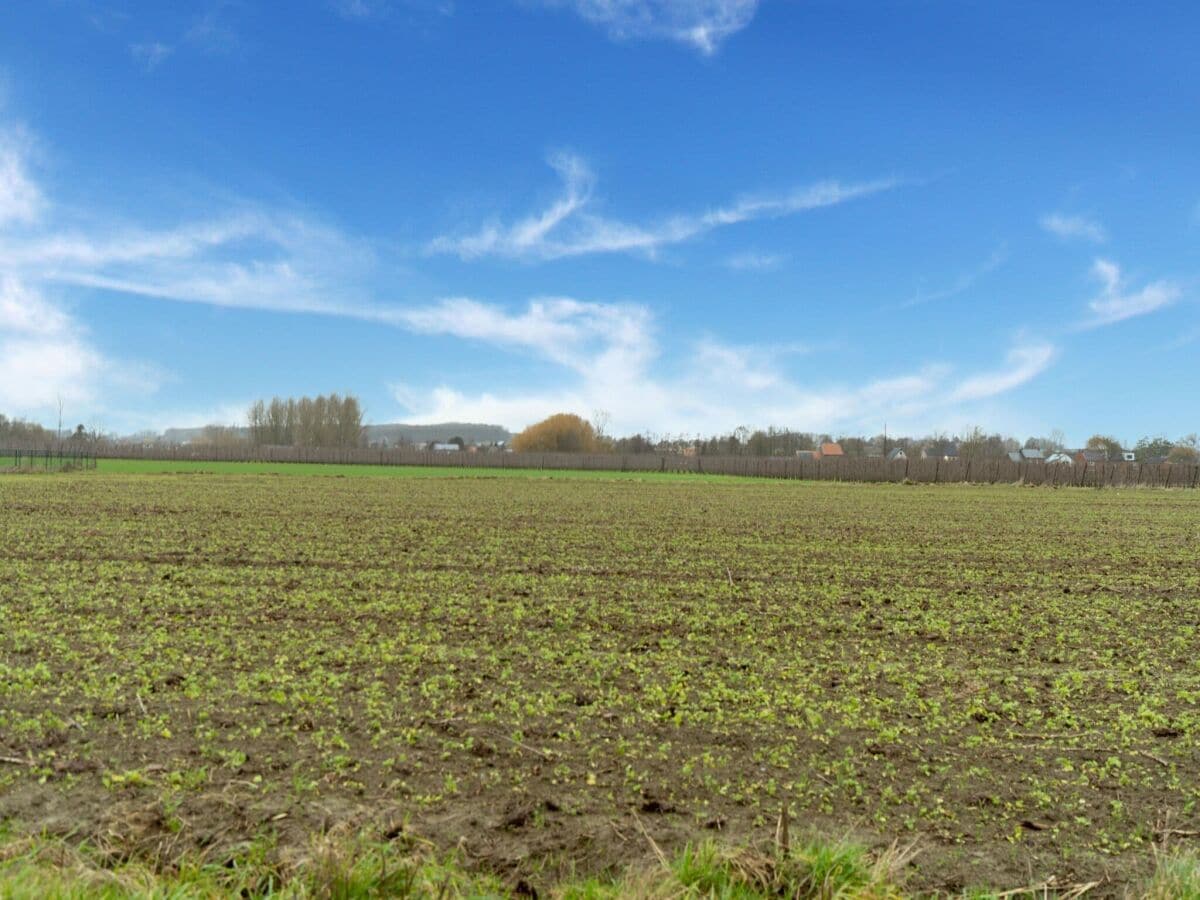 Ferienhaus Glabbeek Umgebung 36