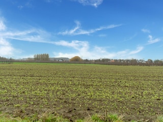 Casa per le vacanze Glabbeek Ambiente 31