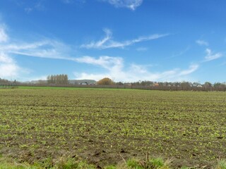 Maison de vacances Glabbeek Environnement 32