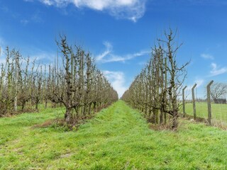 Casa per le vacanze Glabbeek Ambiente 33