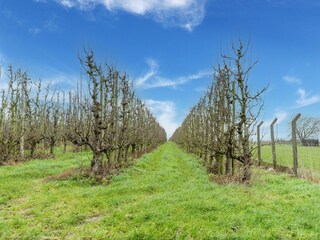 Vakantiehuis Glabbeek Omgeving 33