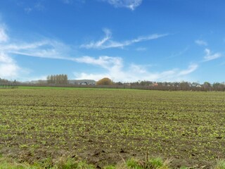 Vakantiehuis Glabbeek Omgeving 33