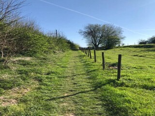 Vakantiehuis Glabbeek Omgeving 33