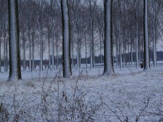 Maison de vacances Glabbeek Environnement 38