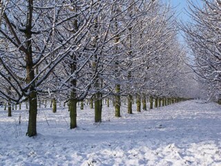 Maison de vacances Glabbeek Environnement 33