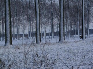 Maison de vacances Glabbeek Environnement 38