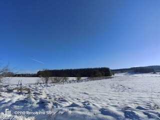 Chalet Manhay Environnement 28