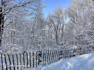 Chalet Manhay Umgebung 35