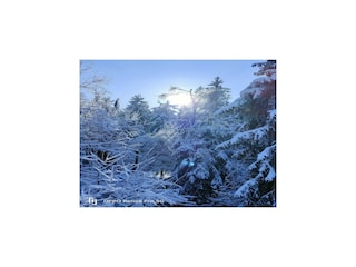 Chalet Manhay Außenaufnahme 7