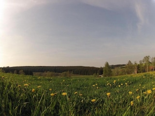 Apartamento Falkenstein (Vogtland) Entorno 24