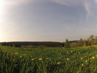 Appartement Falkenstein (Vogtland) Environnement 25