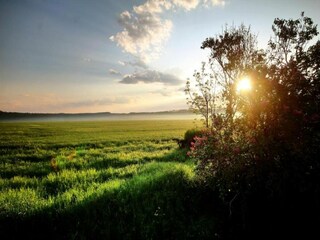 Appartement Falkenstein (Vogtland) Environnement 21