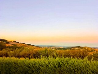 Appartamento Modigliana Ambiente 29