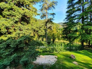 Apartamento Modigliana Entorno 33