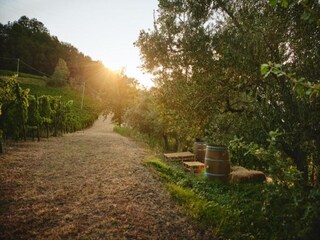 Appartamento Modigliana Ambiente 27