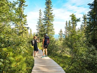 Vakantiehuis Idre  14