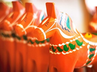 Vakantiehuis Idre  10