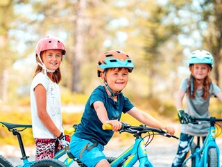 Vakantiehuis Idre  14