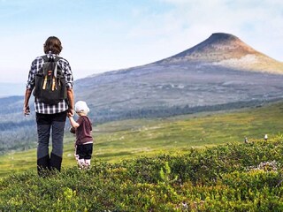 Holiday house Idre  21