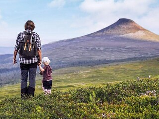 Vakantiehuis Idre  16