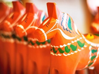 Vakantiehuis Idre  24