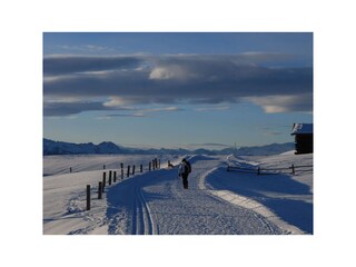 Appartamento per vacanze Vintl Ambiente 25