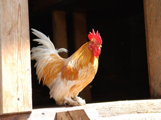 Appartement de vacances Vintl Environnement 27