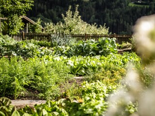 Apartamento de vacaciones Vintl Grabación al aire libre 12