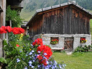 Appartamento per vacanze Vintl Ambiente 22
