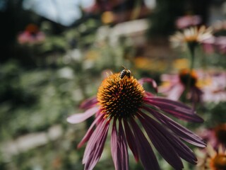 Vakantieappartement Vintl Buitenaudio-opname 5