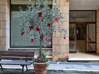 Appartamento Santa Margherita Ligure  17