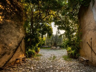 Villa Polizzi Generosa Registrazione all'aperto 22